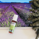 Swatch de Stephy22100 : Roll'on Apaisant, Ladrome