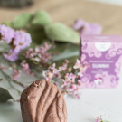 Swatch de Bienvenue chez Vero : Sunnie, Pachamamai