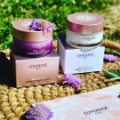 Swatch de Cha2473 : Crème de Nuit Douce, Condensé Paris