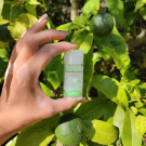 Swatch de lilieo : Déoroche pierre d'alun du Panama, ROCHE