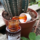 Swatch de Mygtesteuse : Produit mystère, La Canopée