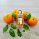 Swatch de Maellnm : Aqua allegoria mandarine basilic, Guerlain