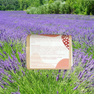 Swatch de carine44 : Savon marbré lavande, MALEY