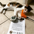 Swatch de manon99 : Baume réparateur pour chiens et chats, équilibre & instinct