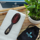 Swatch de Laminedord_ : Brosse pneumatique de voyage, Plisson 1808