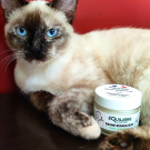 Swatch de pujol.chloe : Baume réparateur pour chiens et chats, équilibre & instinct