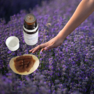 Swatch de carine44 : Huile essentielle de lavande, DISTILLERIE LUEUR DU SUD