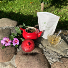 Swatch de Mygtesteuse : DETOX, M&A Lab