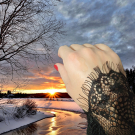 Swatch de carine44 : Sérum concentré apaisant, Condensé Paris