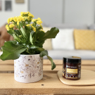 Swatch de 49cricri : Masque richesse extrême multi-usages, Centifolia