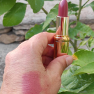 Swatch de guyl34 : Color Riche Rouge à Lèvres, L'Oréal Paris