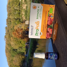 Swatch de Nolrag_sc : Complément alimentaire bio - Ampoules Immuno+, ladrôme laboratoire