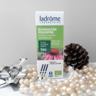 Swatch de Papillon882 : Echinacée pourpre, ladrôme laboratoire