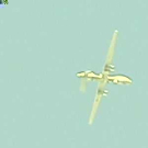 Swatch de pigdogfusting : Qtqtqt, Neal's Yard Remedies