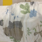 Swatch de Girly'S Family : Lotus baby, Lotus