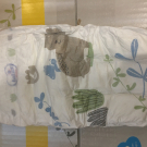 Swatch de Girly'S Family : Lotus baby, Lotus