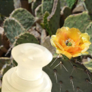 Swatch de carine44 : Huile de Pépins de Figue de Barbarie CAP COSMETICS, Nutrivie