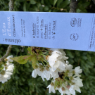 Swatch de Mygtesteuse : Crème de jour anti-âge -  L'Eau d'Evaux, Olisma