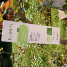 Swatch de Mygtesteuse : Slim Design 45+, Laboratoire Elancyl