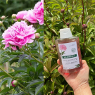 Swatch de Mygtesteuse : Shampoing à la Pivoine, Klorane