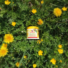 Swatch de DoriouneTwins2022 : Masque nourrissant Hair Fruits Banane, Carrefour