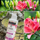 Swatch de Mygtesteuse : Masque Kératine, Coslys