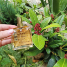 Swatch de gobiy : Huile Prodigieuse - Huile Sèche multi-fonctions, Nuxe