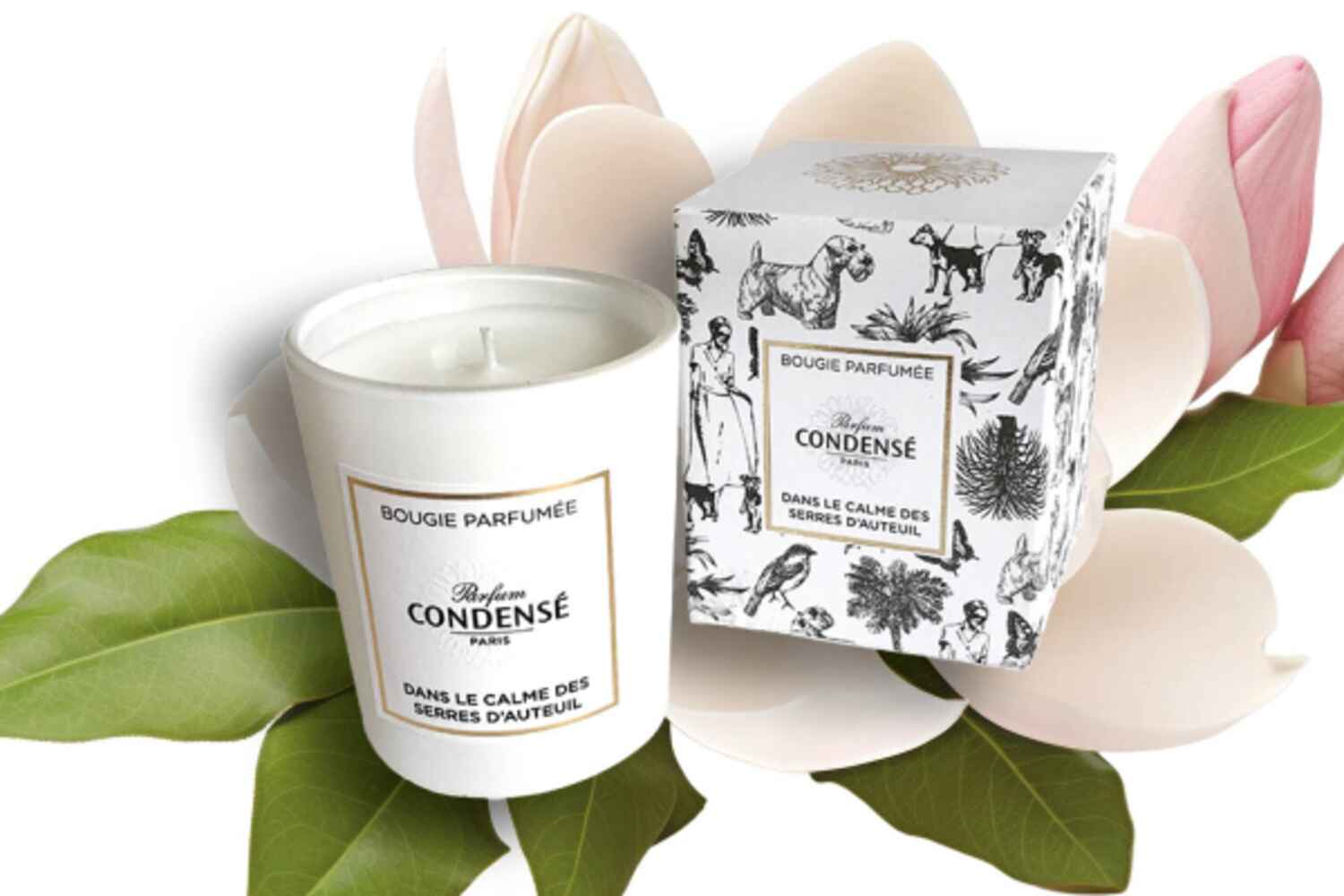 Bougie Parfumée Dans le Calme des Serres d'Auteuil de Condensé Paris, Condensé Paris - Infos et avis