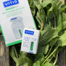 Swatch de Mygtesteuse : VITIS, Crinex