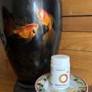 Swatch de d...illon : Braintonic, Laboratoires Oligosanté