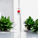 Swatch de dupreybrigitte : Flower By Kenzo, Kenzo