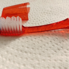 Swatch de missbot : VITIS brosse a dents Vitis, Crinex