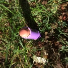 Swatch de Lou34540 : Baby Lips Baume à Lèvres Teinté, Maybelline New York