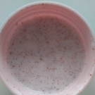 Swatch de Mariie PTK : Gomme lavante exfoliante, Sephora