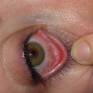 Swatch de lauriie31 : Mascara Sweet & Safe Christophe Danchaud, Absolution