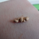 Swatch de margotlussiez : Mousse fond de teint, Ed pinaud