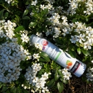 Swatch de Stephy22100 : Nordic Berry Brume Corps Express, Neutrogena