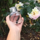 Swatch de jennyfer_pnz : Eau de Lacoste L.12.12 pour Elle Pétillante - Eau de Toilette, Lacoste