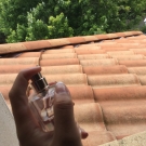 Swatch de jennyfer_pnz : Eau de Lacoste L.12.12 pour Elle Pétillante - Eau de Toilette, Lacoste