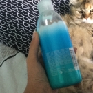 Swatch de jennyfer_pnz : Je suis glamour, Nocibé