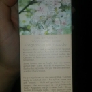 Swatch de clocloe285 : Un Matin Au Jardin Cerisier en Fleurs - Eau de Toilette 100ml, Yves Rocher