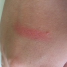 Swatch de Loli315 : Colorful Fard à Joues, Sephora