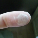 Swatch de Natty : Palette Oh My Dream !, Adopt by Réserve Naturelle