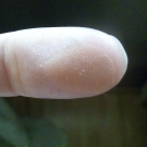 Swatch de Natty : Palette Oh My Dream !, Adopt by Réserve Naturelle