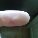 Swatch de Natty : Palette Oh My Dream !, Adopt by Réserve Naturelle