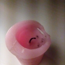 Swatch de Natty : Bougie Votive, Yankee Candle