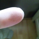 Swatch de Natty : Palette Oh My Dream !, Adopt by Réserve Naturelle