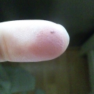 Swatch de Natty : Palette Oh My Dream !, Adopt by Réserve Naturelle