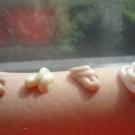 Swatch de Ellendra : Lotion pour les mains et le corps - Amandes, Desert Essence