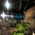 Swatch de Lucieg_djulian : Sérum Acide Hyaluronique, V10 Plus